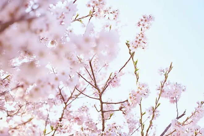 stylec(图8)