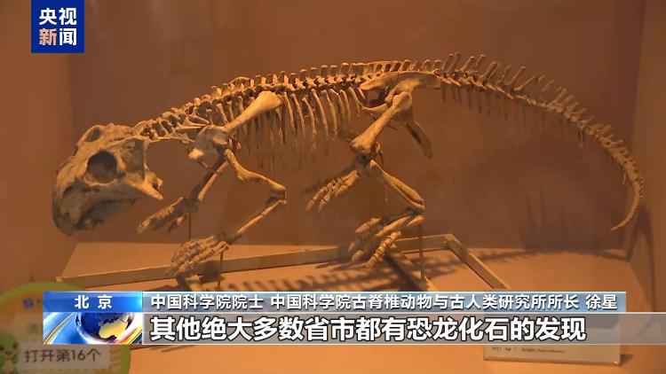 暑期探秘走进博物馆感受恐龙化石里的中国故事(图8)