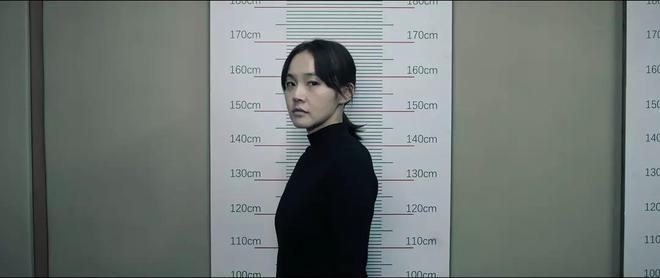 2025上半年口碑最好10部国剧：《藏海传》第10《以法之名》第3(图31)