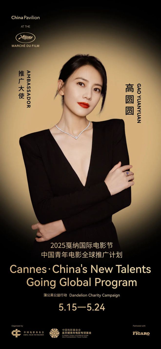 戛纳中国电影活动高圆圆于适推广大使(图2)