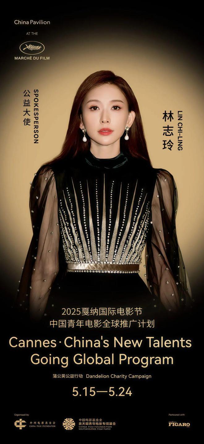 戛纳中国电影活动高圆圆于适推广大使(图7)