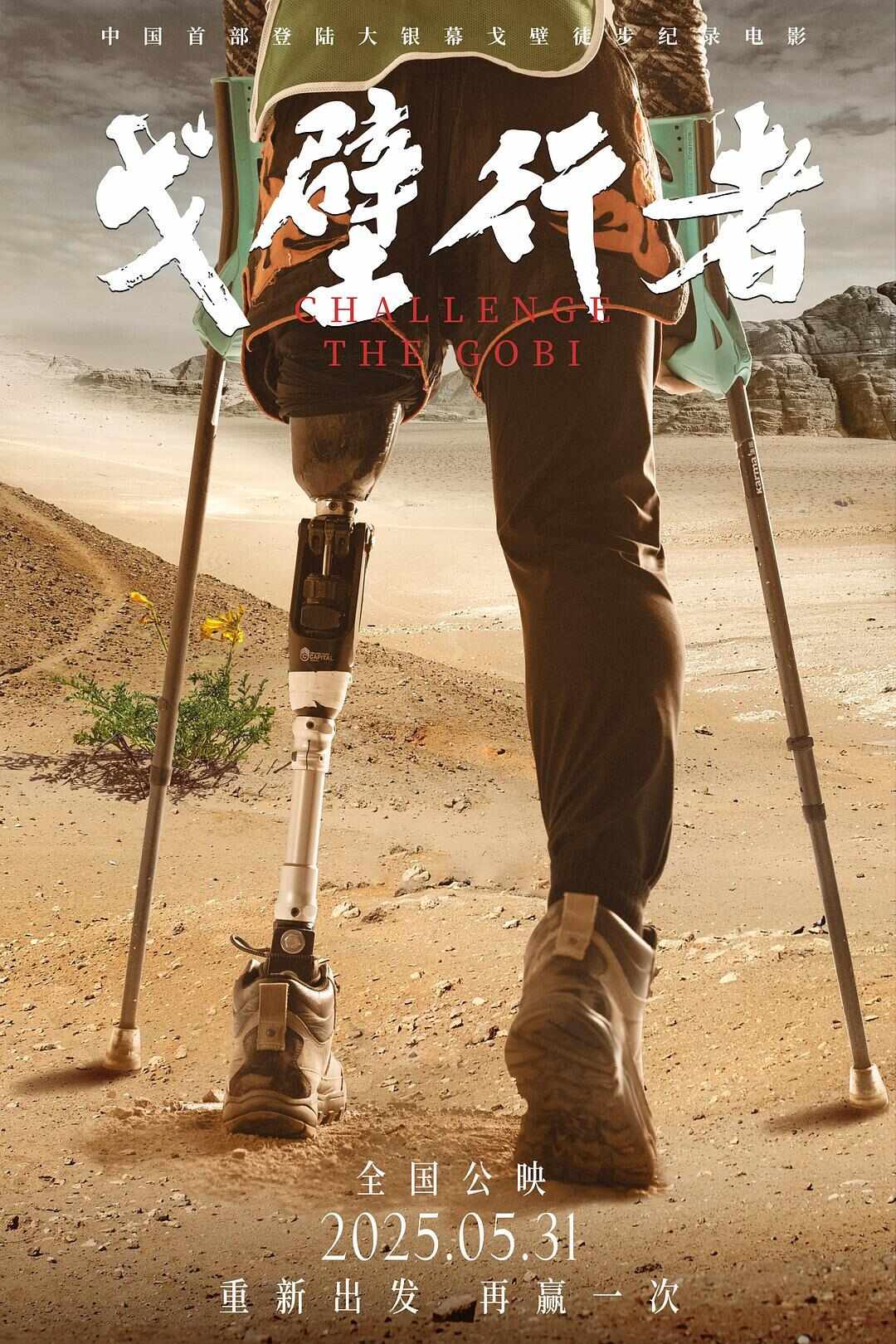 电影端午档导览：汤姆·克鲁斯终战“碟中碟”国漫《时间之子》对打《哆啦A梦(图8)