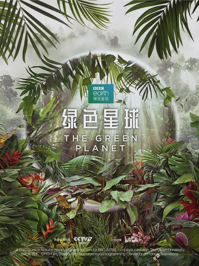 九游娱乐：最高98分零差评这五部大片建议收藏(图10)