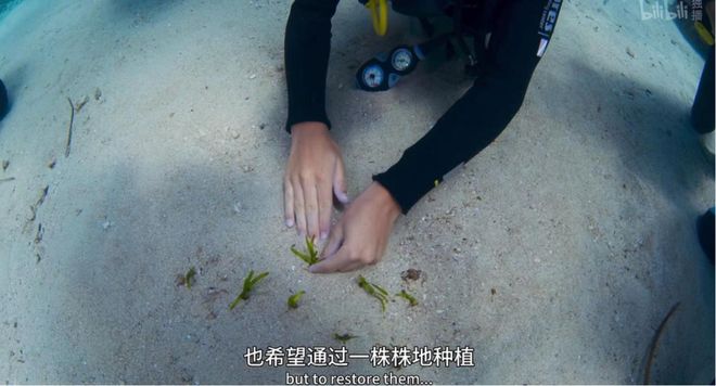 九游娱乐：最高98分零差评这五部大片建议收藏(图12)