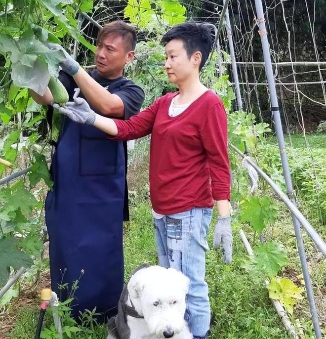 九游娱乐：扫毒风暴》他娶经纪人买地种菜13年0绯闻(图2)
