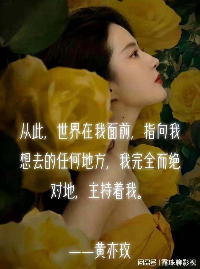 2024国产剧大盘点快来看看你看过多少部？我最喜欢的是这13部剧(图2)
