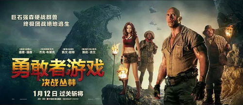 电影推荐：推荐量不多的电影有哪些（极力的）(图1)