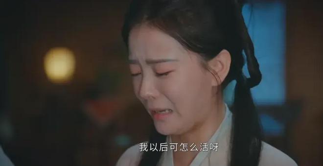 给2024年“10大国产好剧”：《繁花》只排第3第1名严重低估(图4)