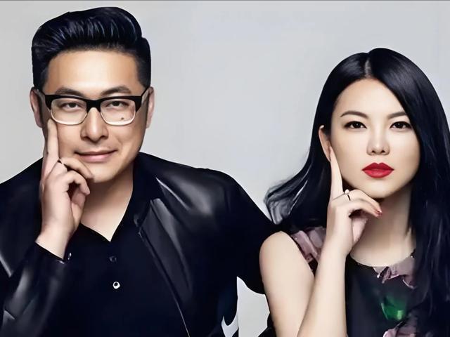 离婚夫妻商业再携手：新公司李湘持股99%