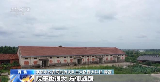 看小说学盗墓挖走20余件国宝特大盗墓案细节曝光(图9)
