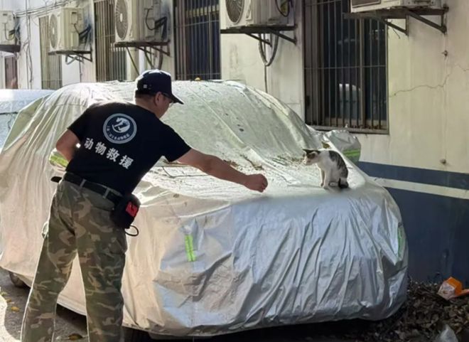 九游娱乐文化：给这个社区点赞——牵头救治