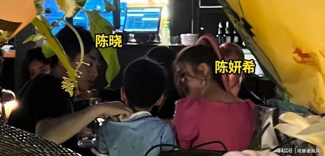 九游娱乐文化：陈晓离婚内幕曝光卓伟爆料夫妻反目两年男方学历高(图5)