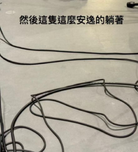 九游娱乐：周杰伦称快被新歌逼疯“周杰伦概念股”引关注(图2)