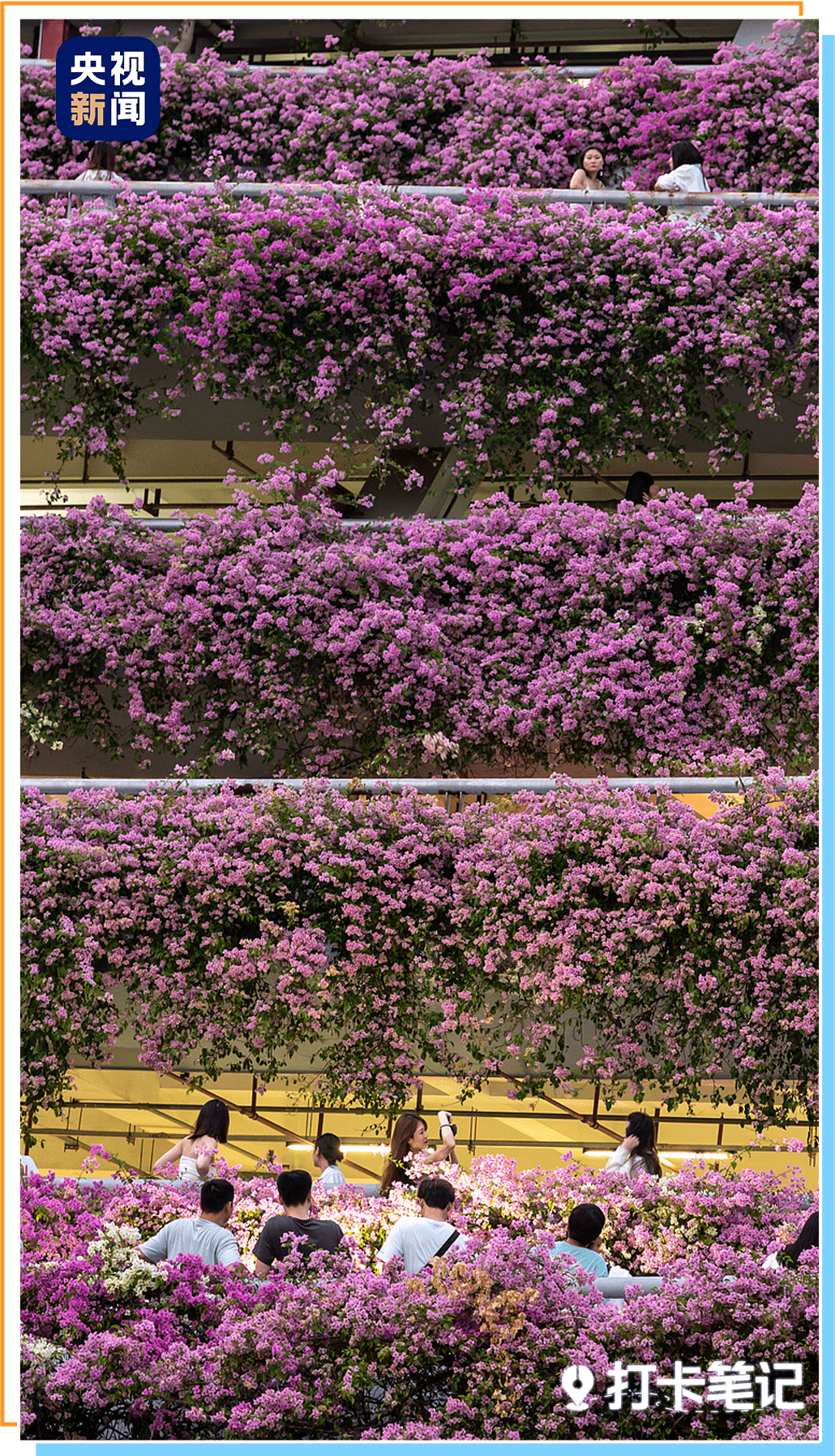 去粤港澳这篇就够了！最新指南→(图6)