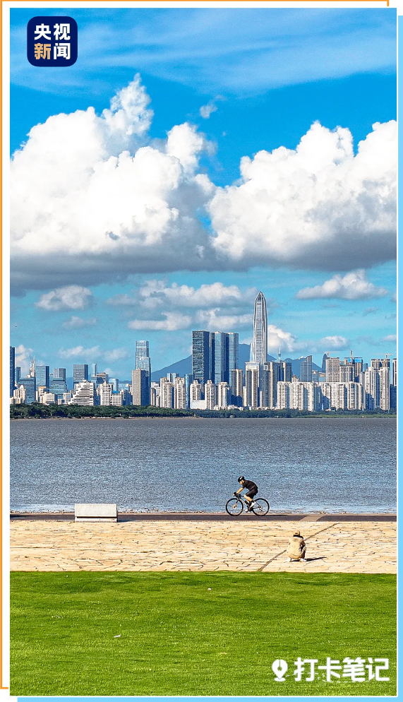 去粤港澳这篇就够了！最新指南→(图7)