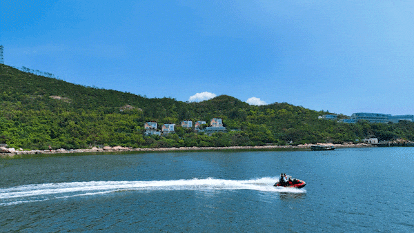 去粤港澳这篇就够了！最新指南→(图14)