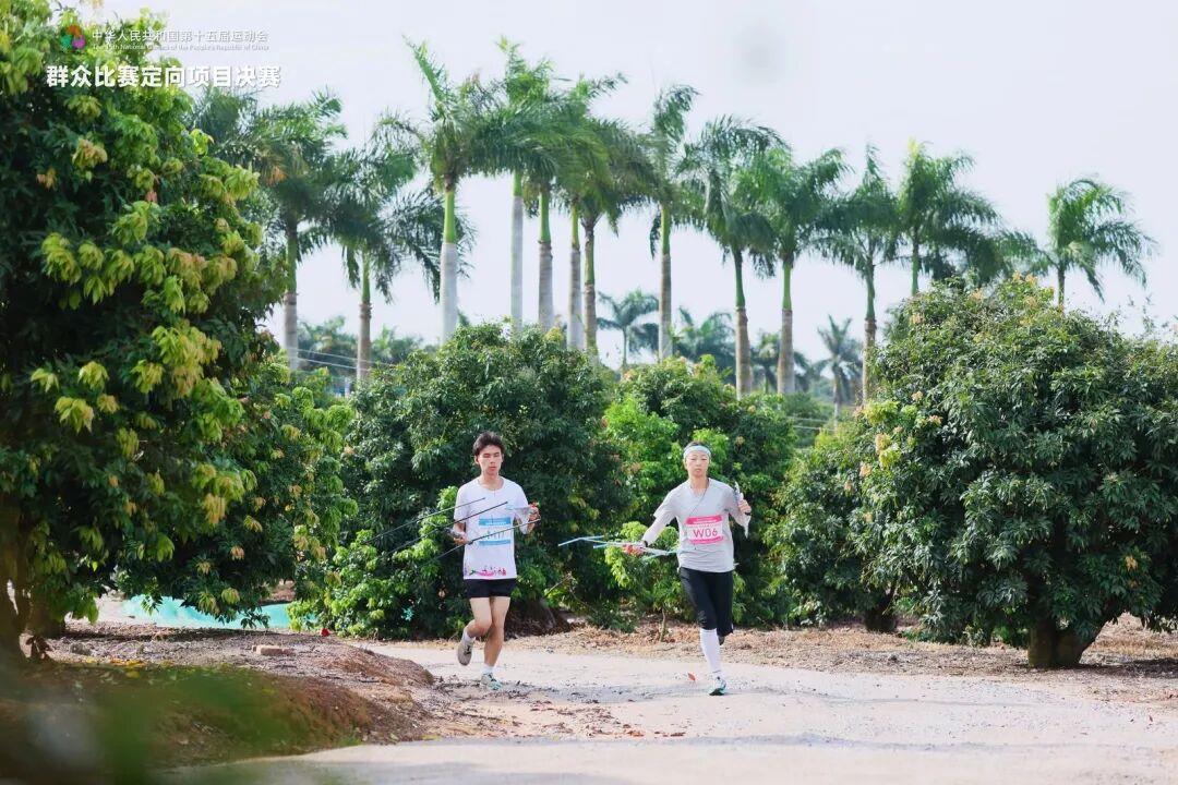 去粤港澳这篇就够了！最新指南→(图26)