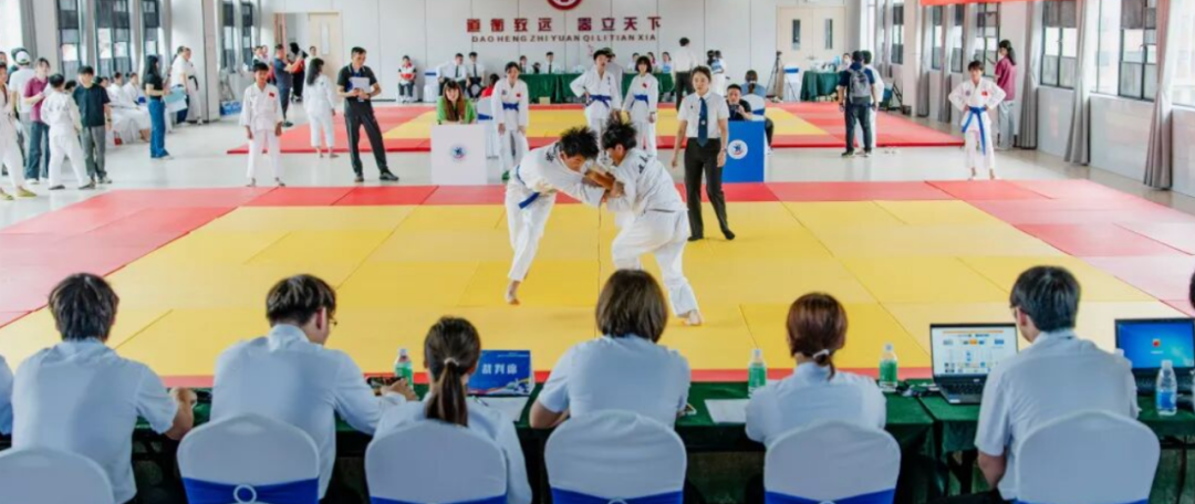 去粤港澳这篇就够了！最新指南→(图31)