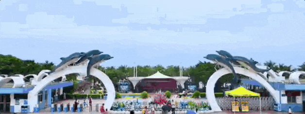 去粤港澳这篇就够了！最新指南→(图44)