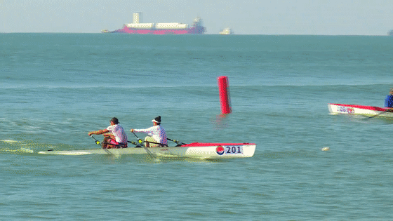 去粤港澳这篇就够了！最新指南→(图45)