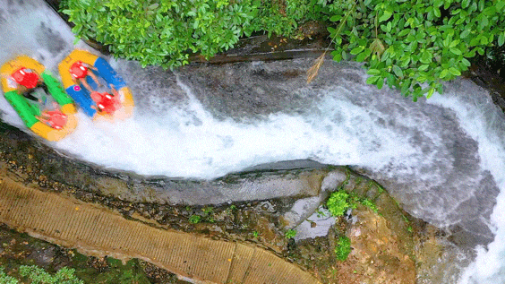 去粤港澳这篇就够了！最新指南→(图47)