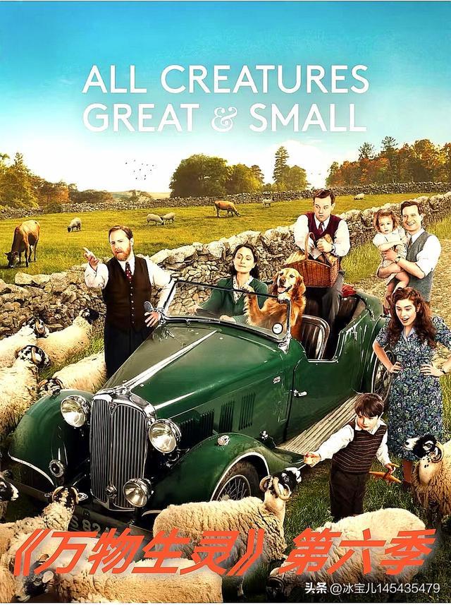 ♨️♨️2025年豆瓣高分英剧排行榜前推荐(图2)