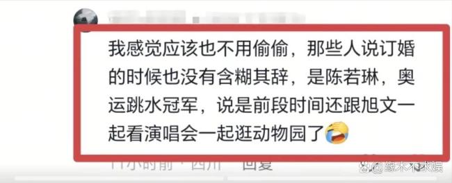 杨旭文陈若琳订婚传闻引发热议(图4)