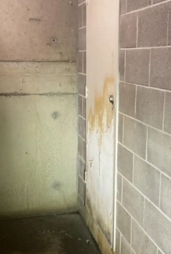 九游娱乐文化：漏水、开裂、包层易燃！悉尼公寓楼变“危房”华女亏出血：住不了也卖不掉(图3)