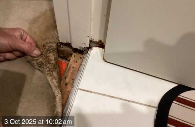 九游娱乐文化：漏水、开裂、包层易燃！悉尼公寓楼变“危房”华女亏出血：住不了也卖不掉(图2)