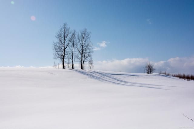 冬季暖心电影推荐：5部必看影片助你舒适度过寒冬