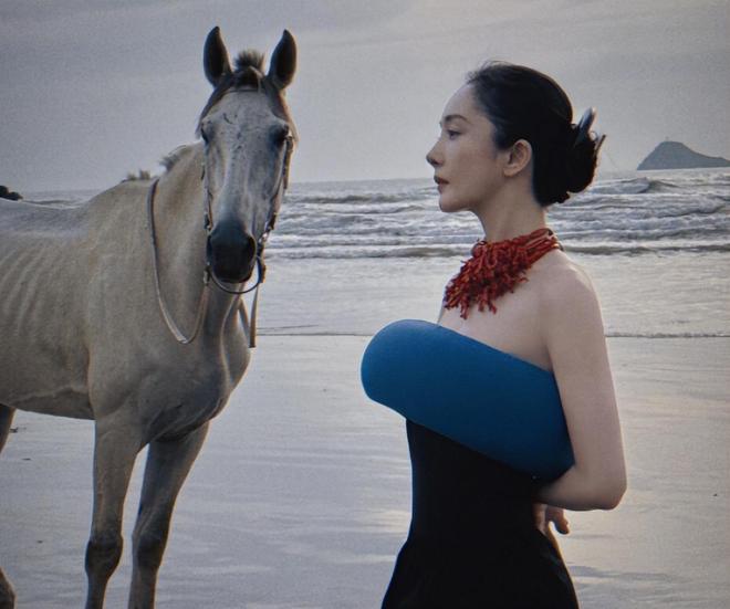 2012-2025年电视剧网播年冠统计今年的年冠竟不是《藏海传(图9)