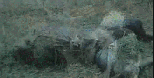 20年前的国产剧到底有多敢拍？