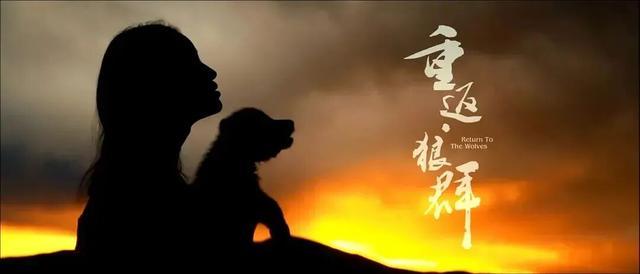 九游娱乐：春节档预售开启！4部预售票房破千万票补低至169元(图11)