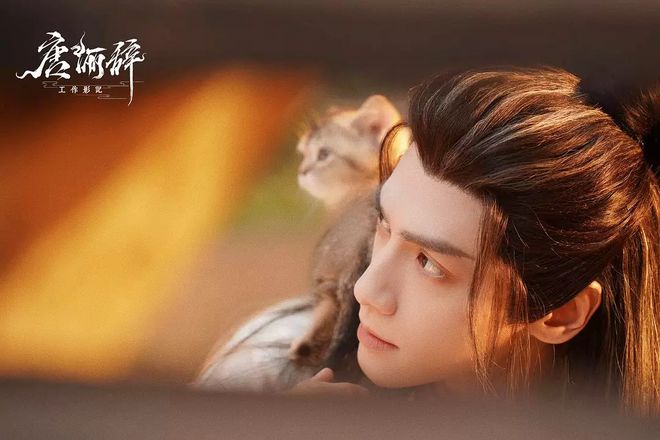 这三部国产剧真的有那么好看吗？(图3)