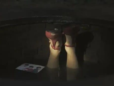 《树影迷宫》大结局给10位演员演技排个名富大龙第8廖凡第2(图3)