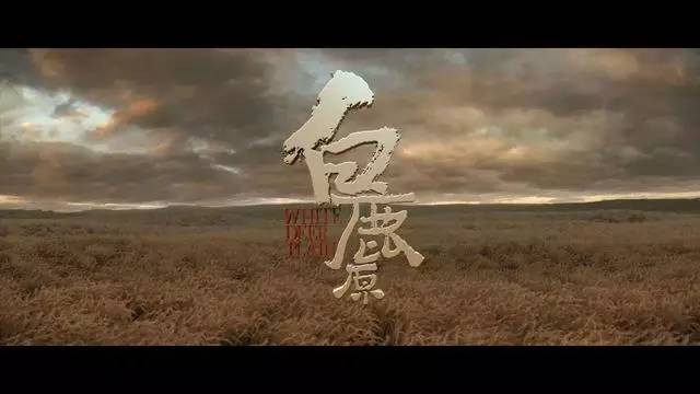 电视剧《白鹿原》才播1集就停播？告诉你这部名著到底有多命运多舛……(图11)