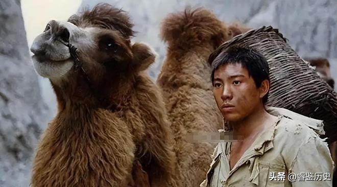 少年成名35岁因拍戏坠马瘫痪怀孕女友不离不弃遗憾未办婚礼(图4)