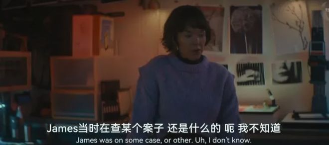 一口气看完全集这部高分新剧太过瘾了(图3)