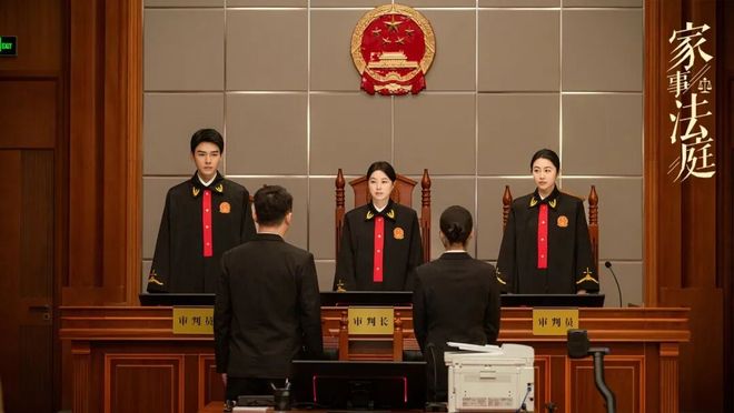 终于有部国产剧把法官和律师拍得不悬浮了(图11)